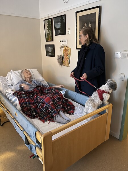 Klicka för att se förhandsgranska